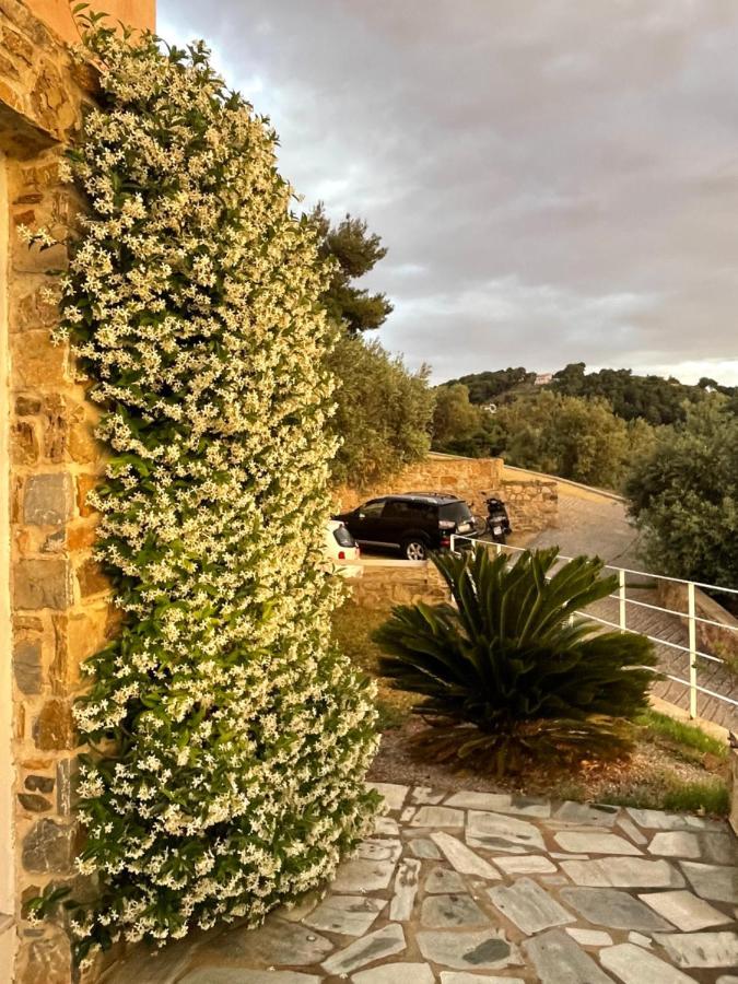 Skiathos Seaview Villa With Pool Punta Exterior foto